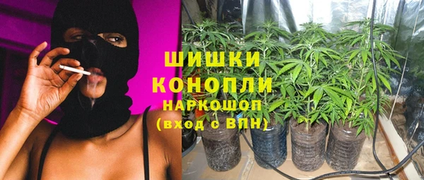 спиды Арсеньев