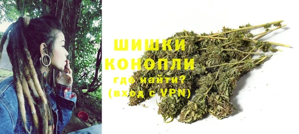 спиды Арсеньев