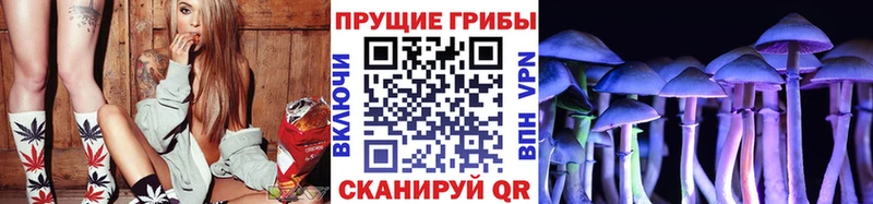 Галлюциногенные грибы мицелий Купить где Приморск